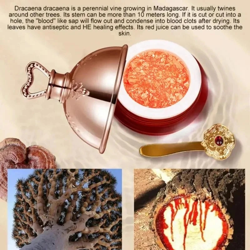 Dragons Blood Retinol Firming Face Cream
